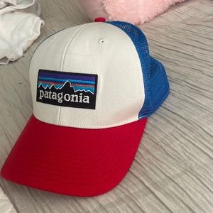 Patagonia snap back hat